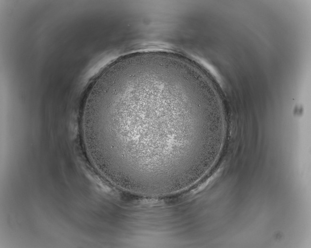 X0000091371407200708101522