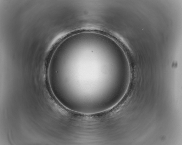 X0000091371408200708101522