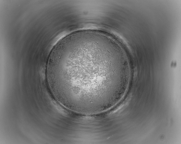 X0000091371409200708101522