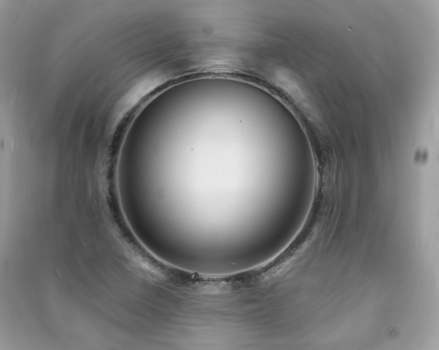 X0000091371410200708101522