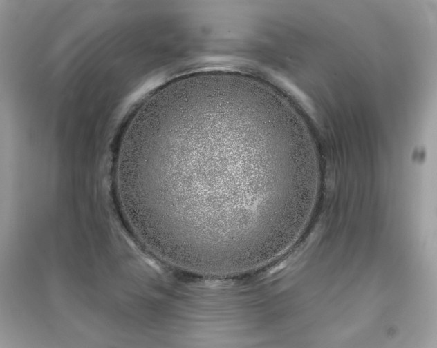 X0000091371411200708101522