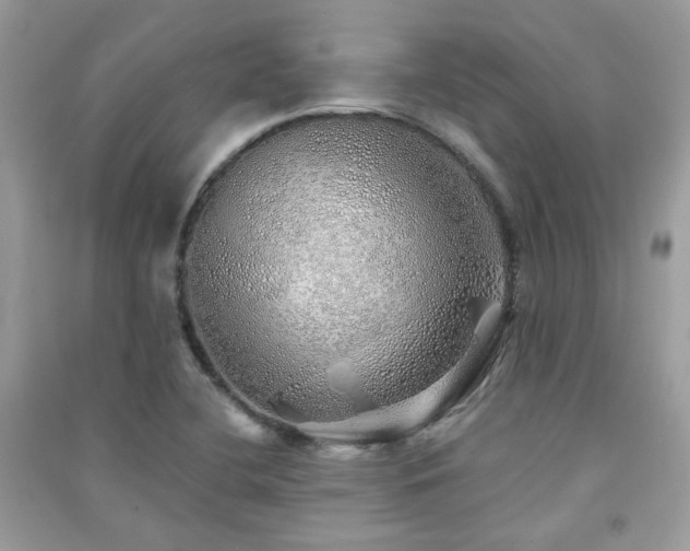 X0000091371412200708101522