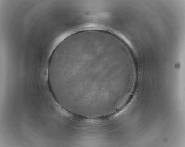 X0000091371413200708101522