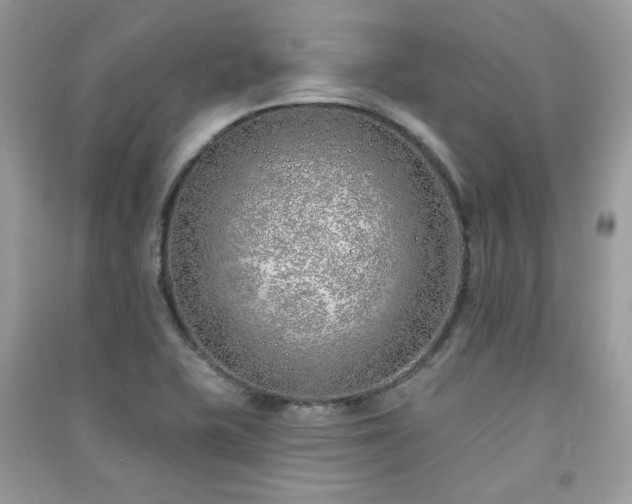 X0000091371415200708101522