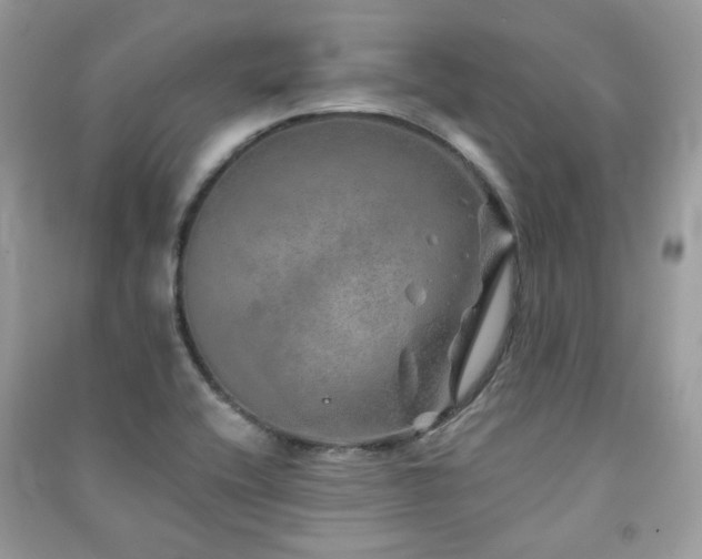 X0000091371416200708101523