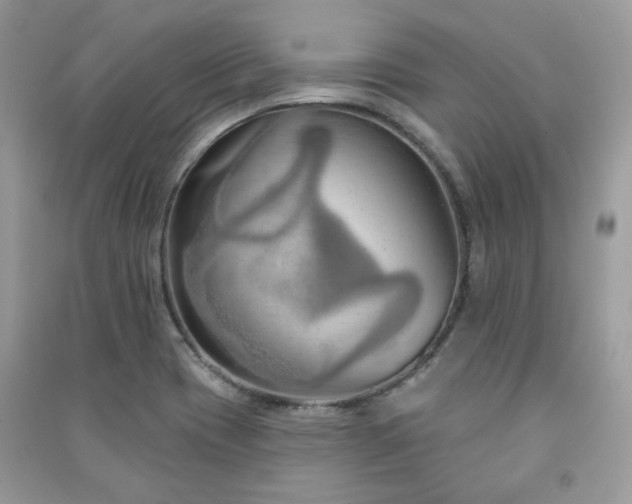 X0000091371417200708101523