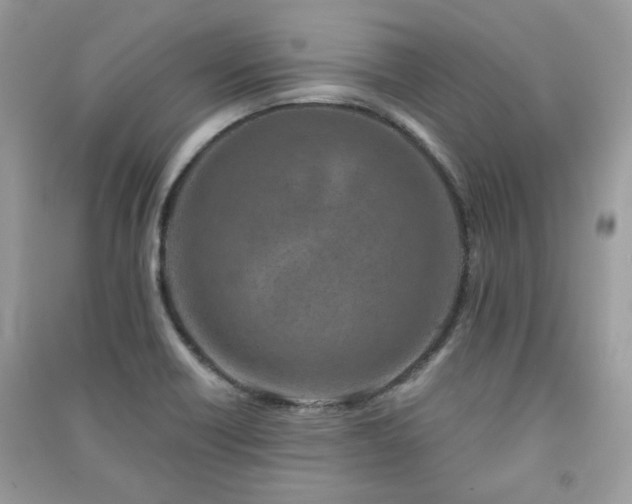 X0000091371418200708101523