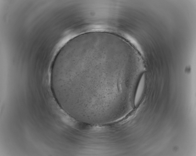 X0000091371419200708101523