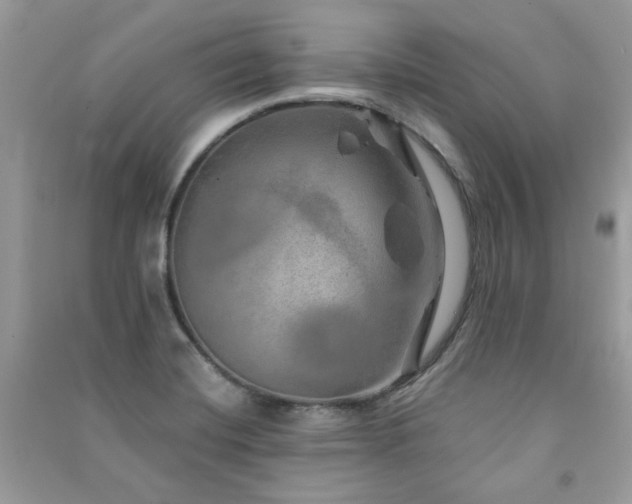 X0000091371420200708101523