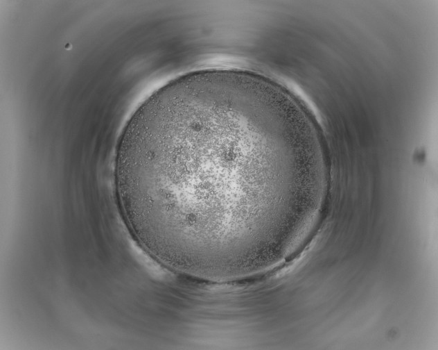 X0000091371421200708101523