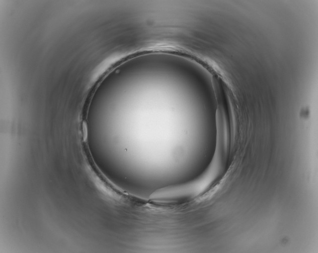 X0000091371422200708101523