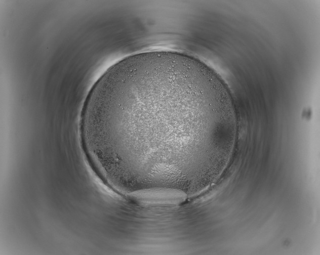 X0000091371423200708101523