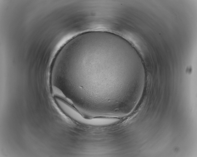 X0000091371424200708101523