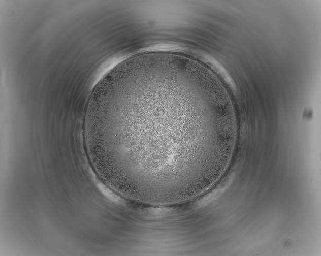 X0000091371425200708101523