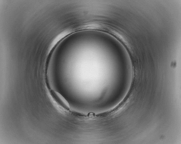 X0000091371426200708101523