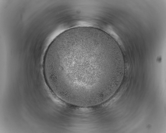 X0000091371427200708101523