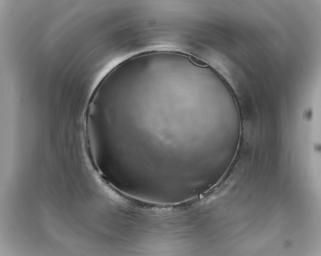 X0000091371428200708101523