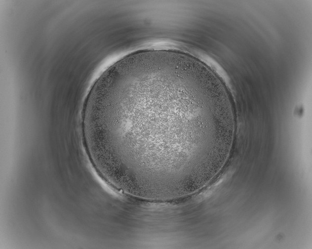 X0000091371429200708101523