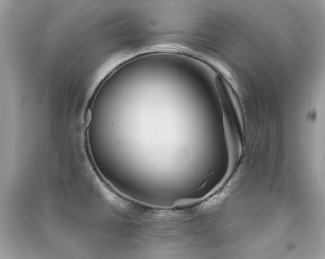 X0000091371430200708101523