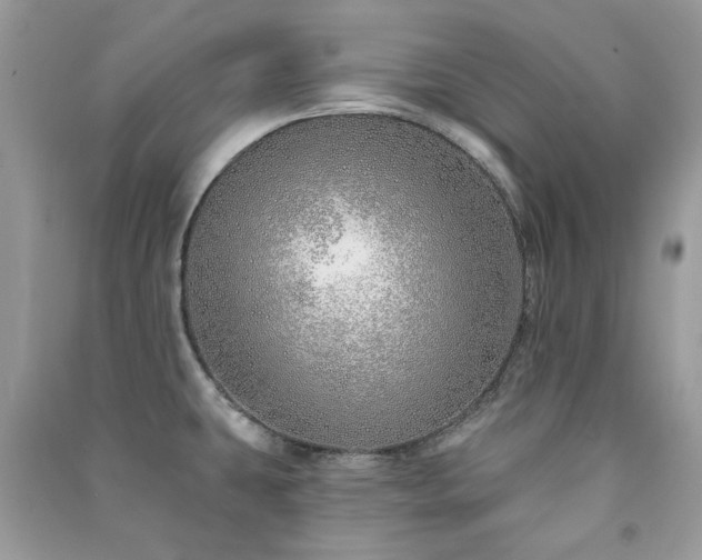 X0000091371431200708101523