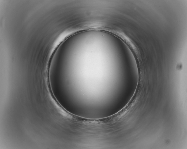 X0000091371432200708101523