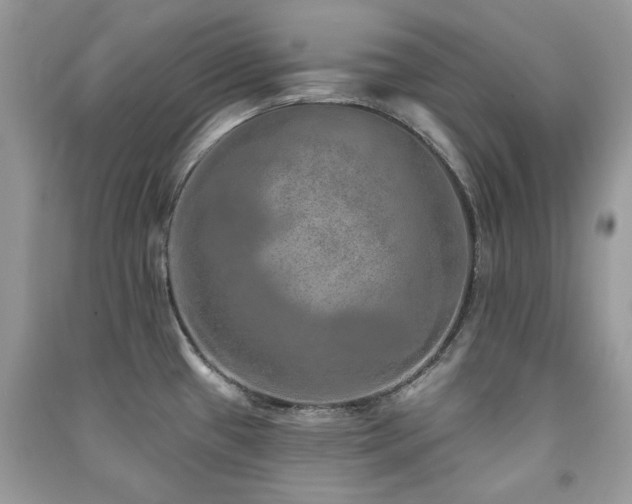 X0000091371433200708101523