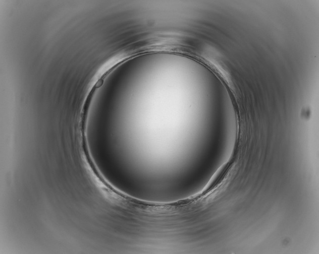 X0000091371434200708101523