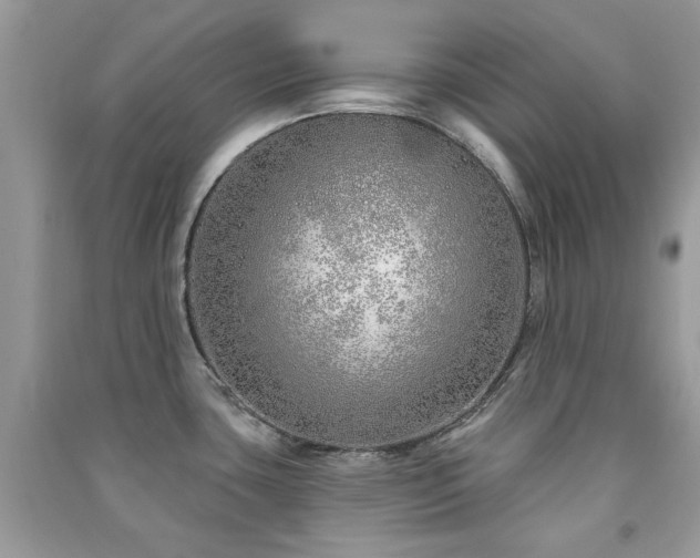 X0000091371435200708101523