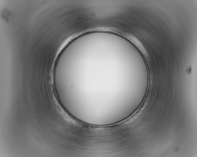 X0000091371436200708101523