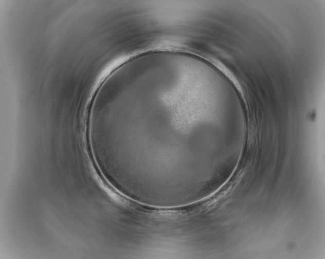 X0000091371437200708101523