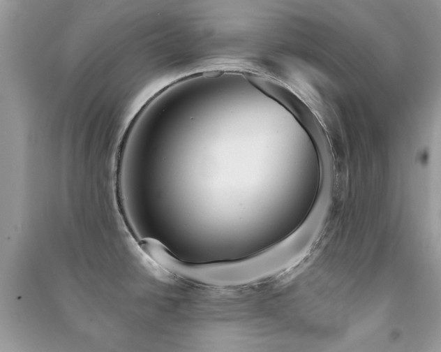 X0000091371438200708101523