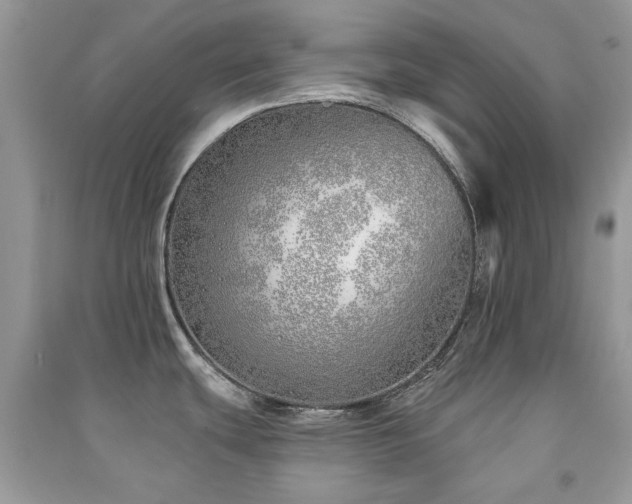 X0000091371439200708101523