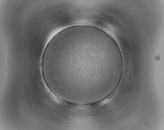 X0000091371440200708101523