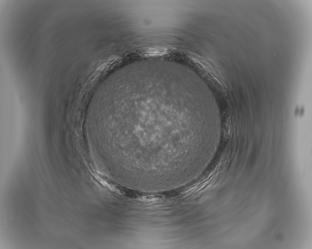 X0000091371441200708101522