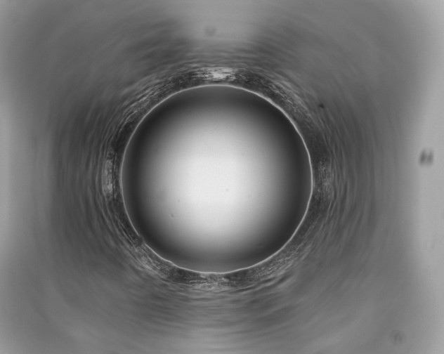 X0000091371442200708101522