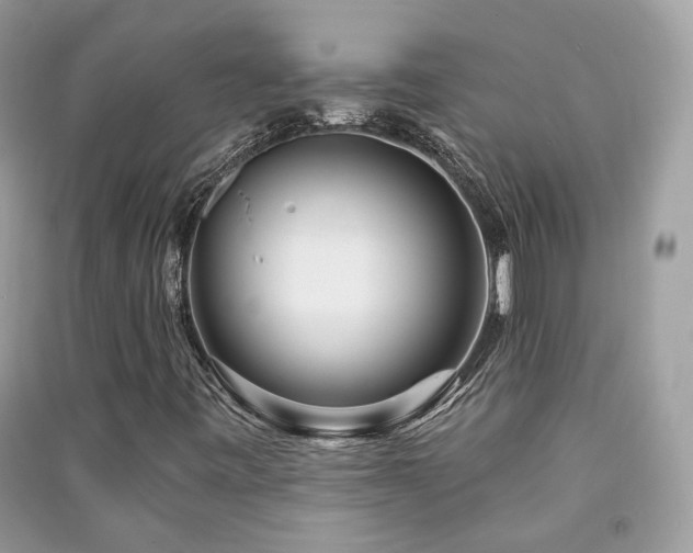 X0000091371443200708101522