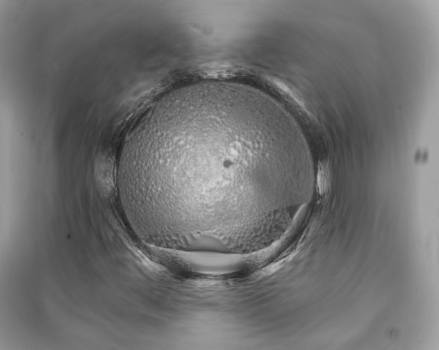 X0000091371444200708101522