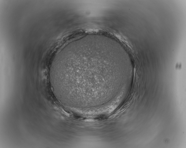 X0000091371445200708101522