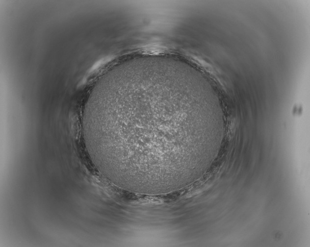 X0000091371446200708101522