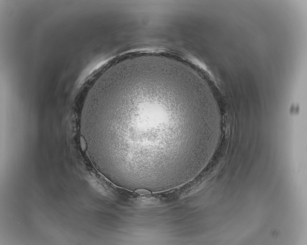 X0000091371448200708101522