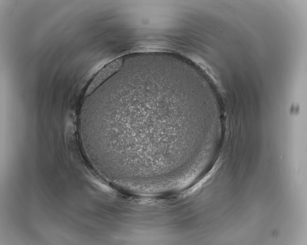 X0000091371449200708101522