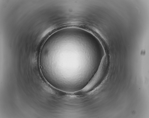 X0000091371450200708101522