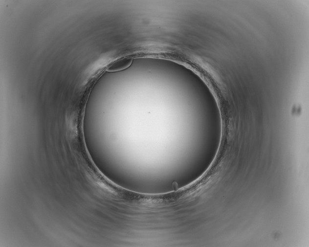 X0000091371451200708101522