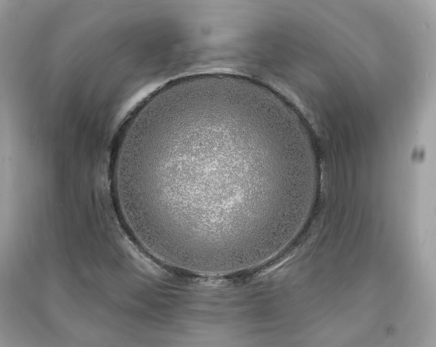 X0000091371452200708101522