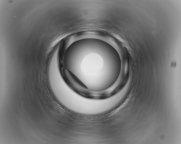 X0000091371453200708101522