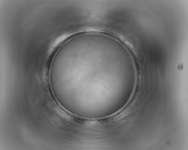 X0000091371454200708101522