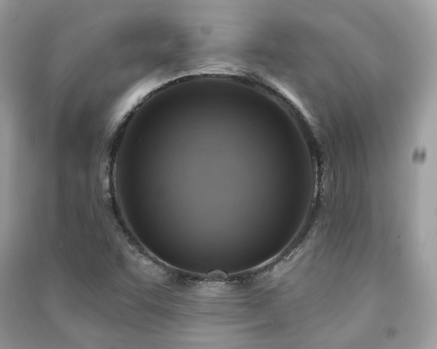 X0000091371455200708101522