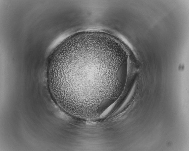 X0000091371456200708101522