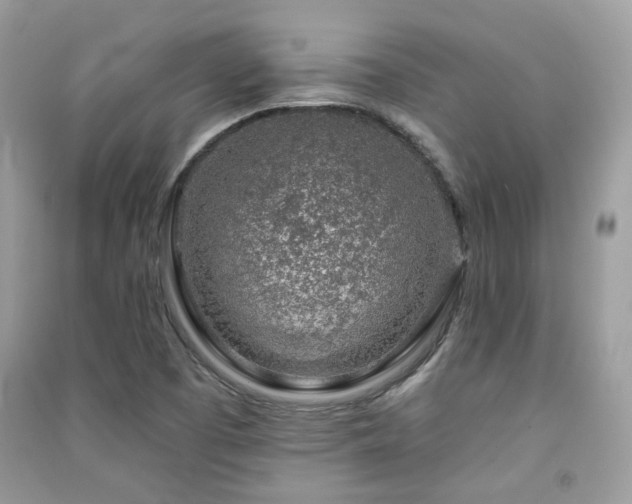 X0000091371457200708101522
