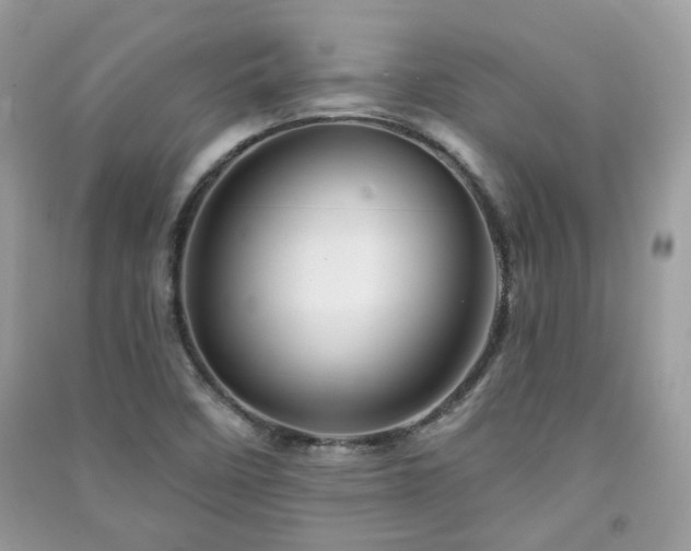 X0000091371458200708101522